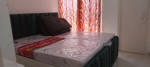 3 BHK Apartment For Rent in Signature Global Golf Greens, Sector 79