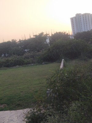  Plot – Exterior View View at ACE YXP, Sector 22d Yamuna Expressway - for Sale