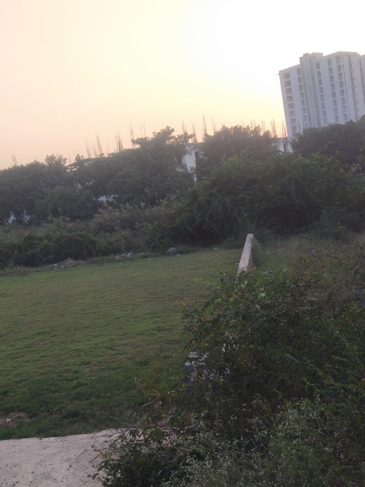 Exterior View, ace-yxp  120 Sq.Mt. Plot In Sector 22d Yamuna Expressway Greater Noida 9427908