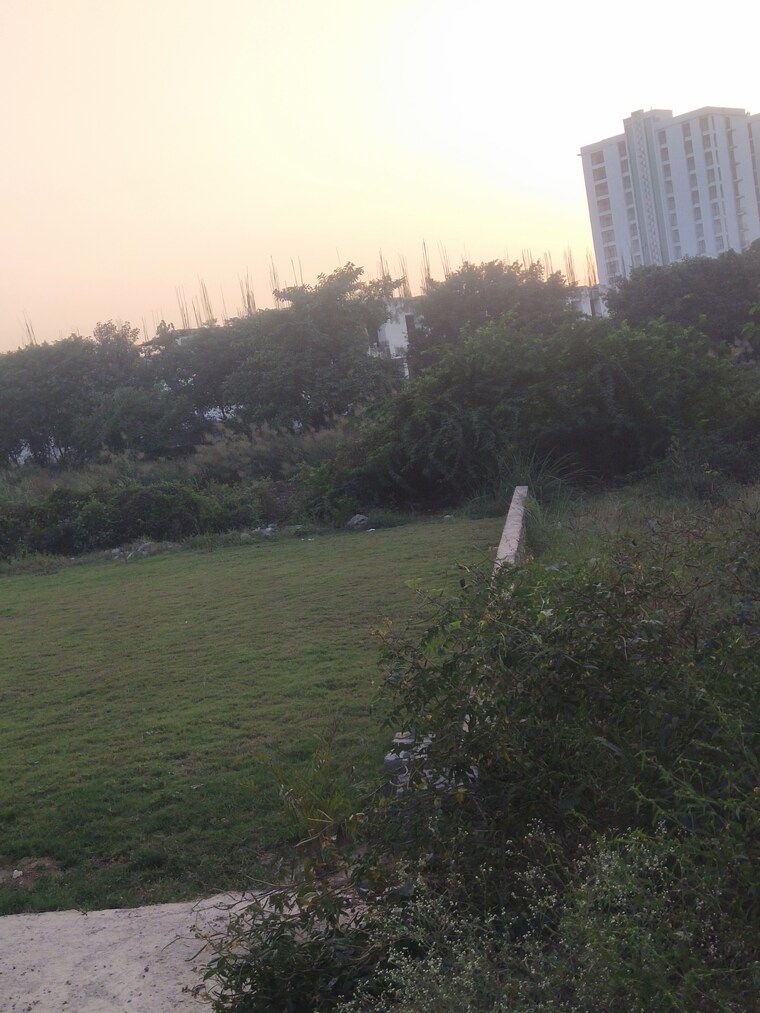 Exterior View, ace-yxp  120 Sq.Mt. Plot In Sector 22d Yamuna Expressway Greater Noida 9427908