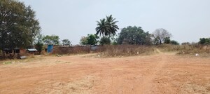 Plot Area in  Plot at Rt Nagar – for Sale