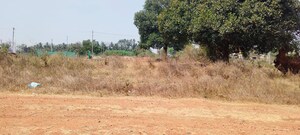 Plot Area in  Plot at Rt Nagar – for Sale