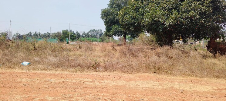 undefined, rt nagar  2400 Sq.Ft. Plot In Rt Nagar Bangalore 9428051