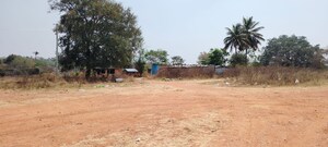 Plot Area in  Plot at Rt Nagar – for Sale