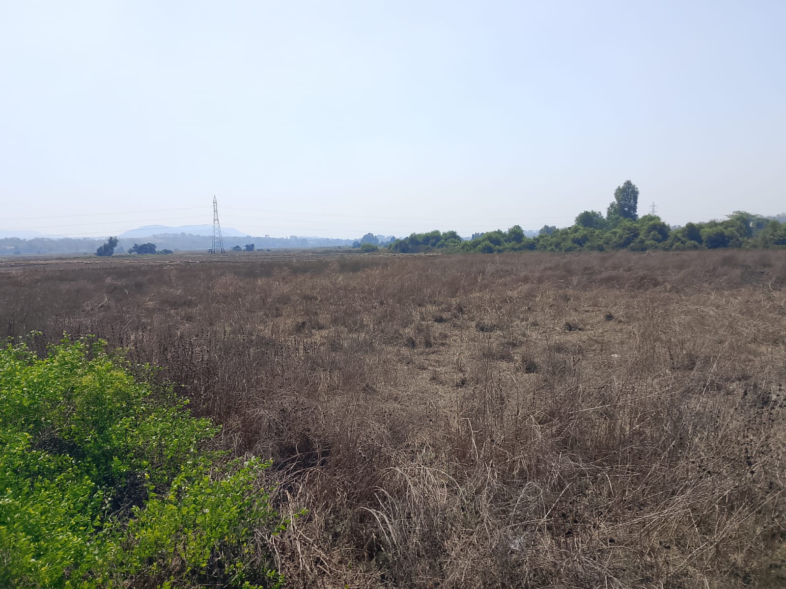Plot For Sale in Bunglow Plot 