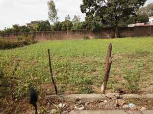  Plot For Sale in Naugaon