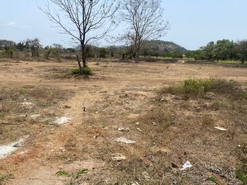 Plot Area in  Plot at Alibag – for Sale