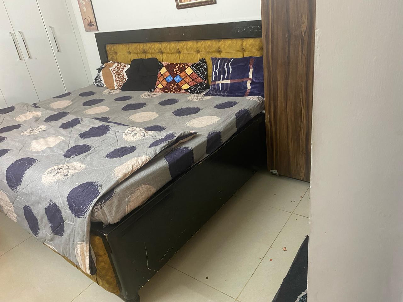 3 BHK + Pooja Room Apartment For Rent in Maxxus Elanza