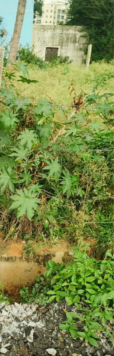 Plot For Sale in Arakavathi Layout