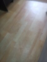 61 Sq.Yd. Plot in Sector 145