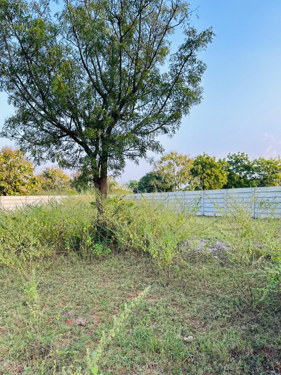 Plot For Sale in Kondapur