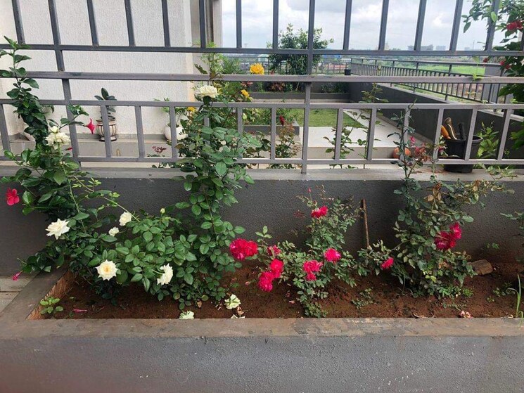 Exterior View, godrej-infinity 2 Bedroom 866 Sq.Ft. Apartment In Keshav Nagar Pune 9429134