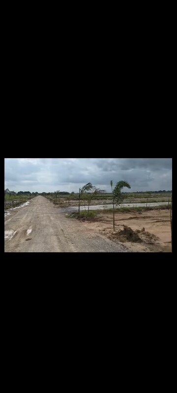 Plot Area in  Plot at Kandi – for Sale