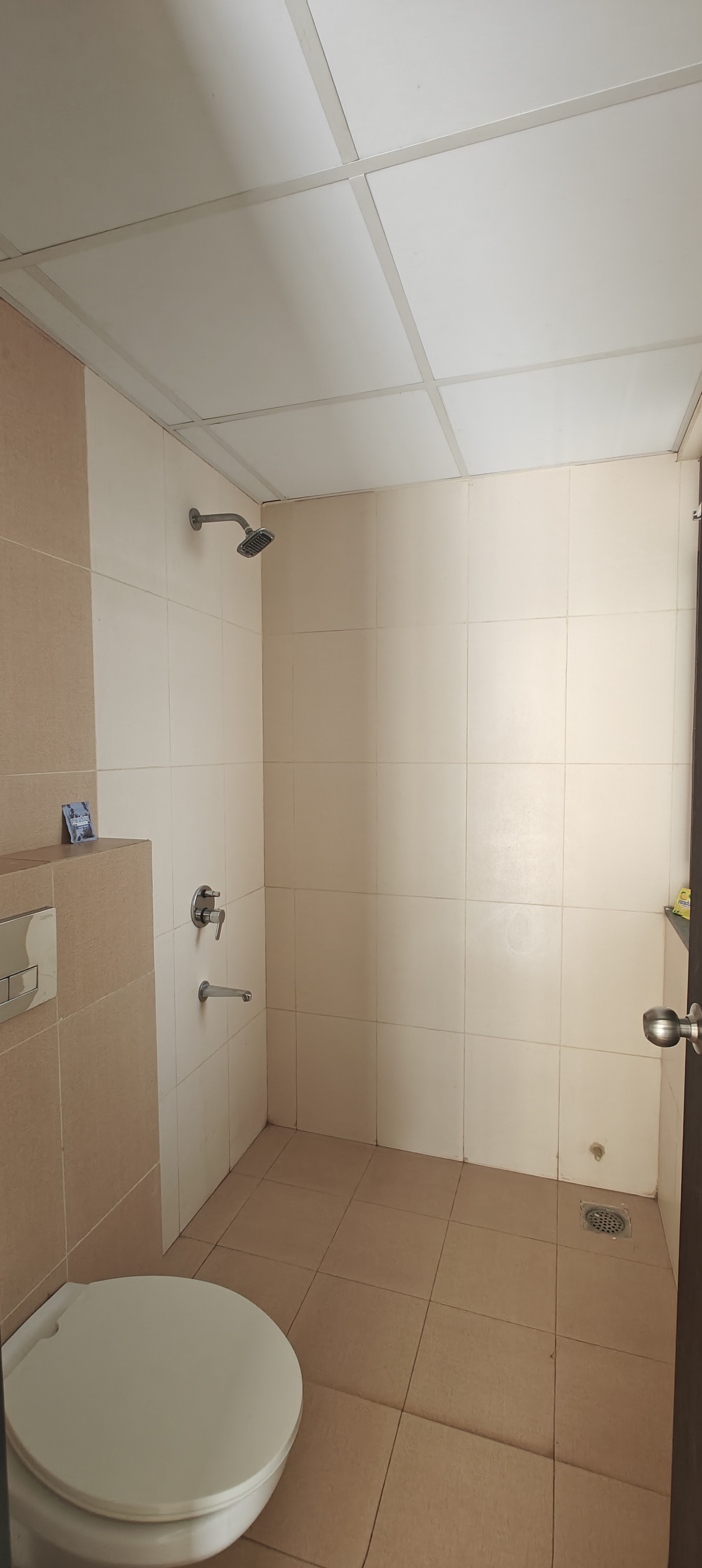 2 BHK 700 Sq.Ft. Apartment in Shapoorji Pallonji Joyville Hinjewadi Phase 2