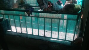 2 BHK Apartment – Exterior View View at Lavansh Heights, Manjri Budruk - for Rent