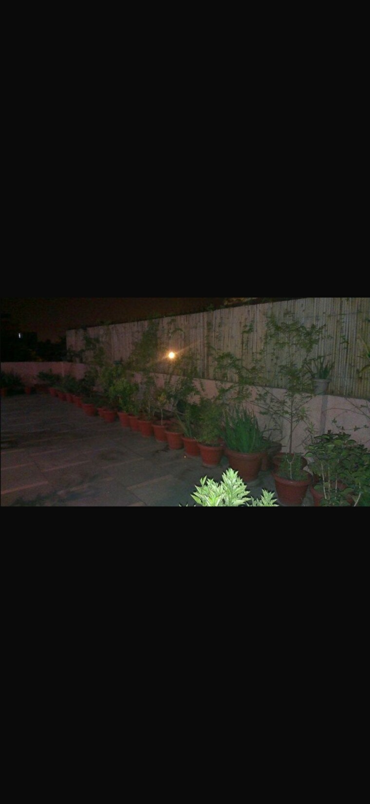 Garden, jangpura 3 Bedroom 1800 Sq.Ft. Independent House In Jangpura Delhi 9429440