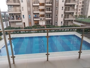 Swimming Pool in 3 BHK Apartment at Adani M2K Oyster Grande, Sector 102 – for Rent