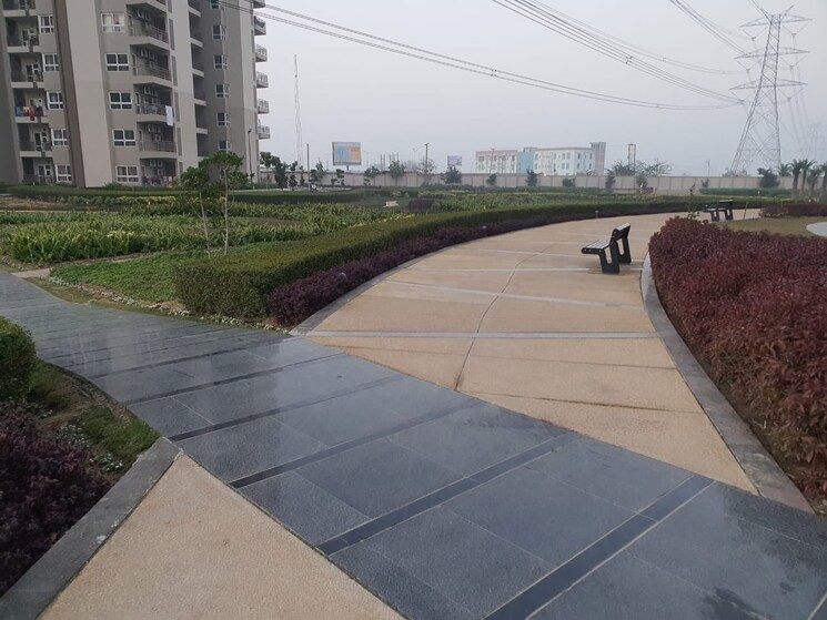  Parking, adani-m2k-oyster-grande 3 Bedroom 1689 Sq.Ft. Apartment In Sector 102 Gurgaon 9429481