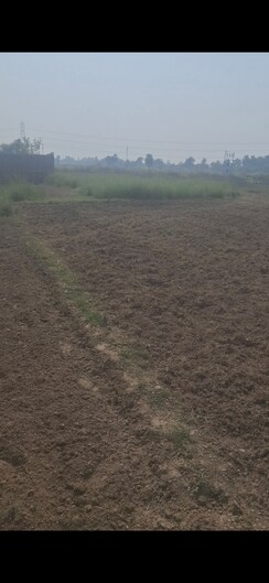 Plot For Sale in Beldarichak