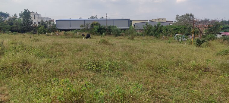 undefined, trimbak road  2970 Sq.Ft. Plot In Trimbak Road Nashik 9429608