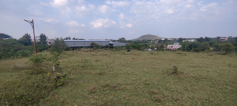 Cover Image, trimbak road  2970 Sq.Ft. Plot In Trimbak Road Nashik 9429608