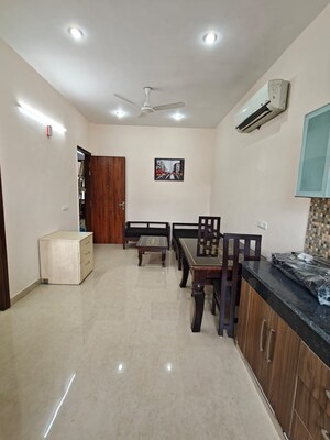 Living Room in 3 BHK Builder Floor at Sector 27 – for Rent