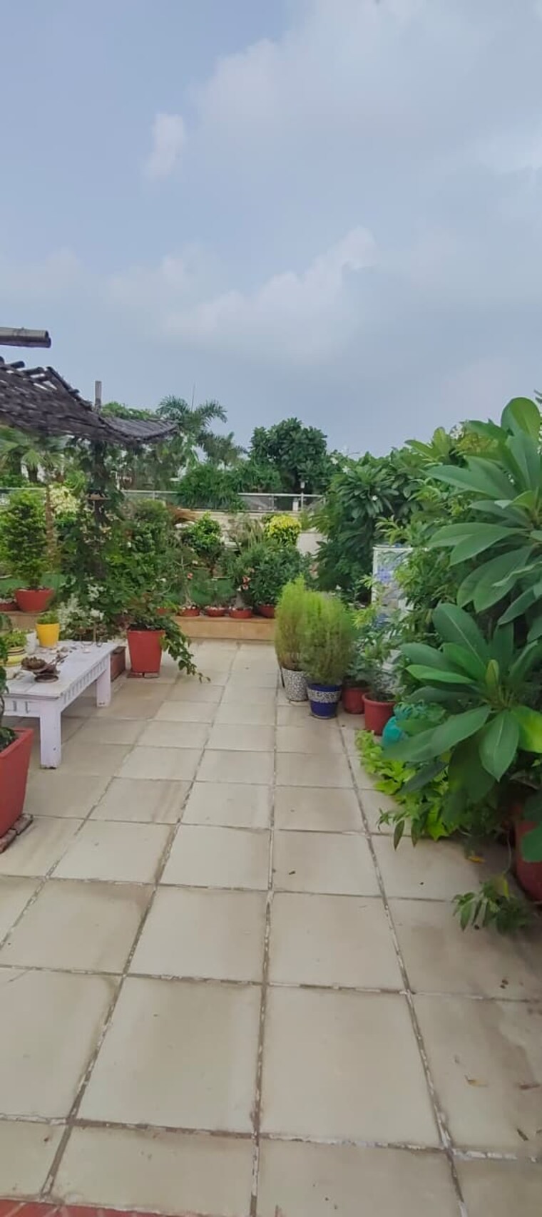 Balcony, safdarjung enclave 4 Bedroom 500 Sq.Yd. Builder Floor In Safdarjung Enclave Delhi 9430561