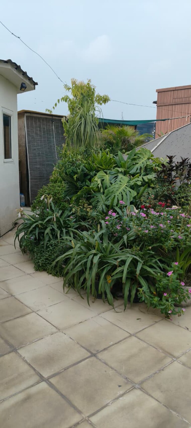 Terrace, safdarjung enclave 4 Bedroom 500 Sq.Yd. Builder Floor In Safdarjung Enclave Delhi 9430561