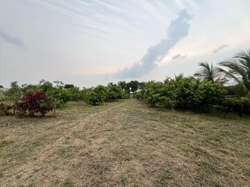 Plot Area in  Plot at Shadnagar – for Sale