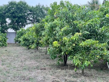 Plot Area in  Plot at Shadnagar – for Sale