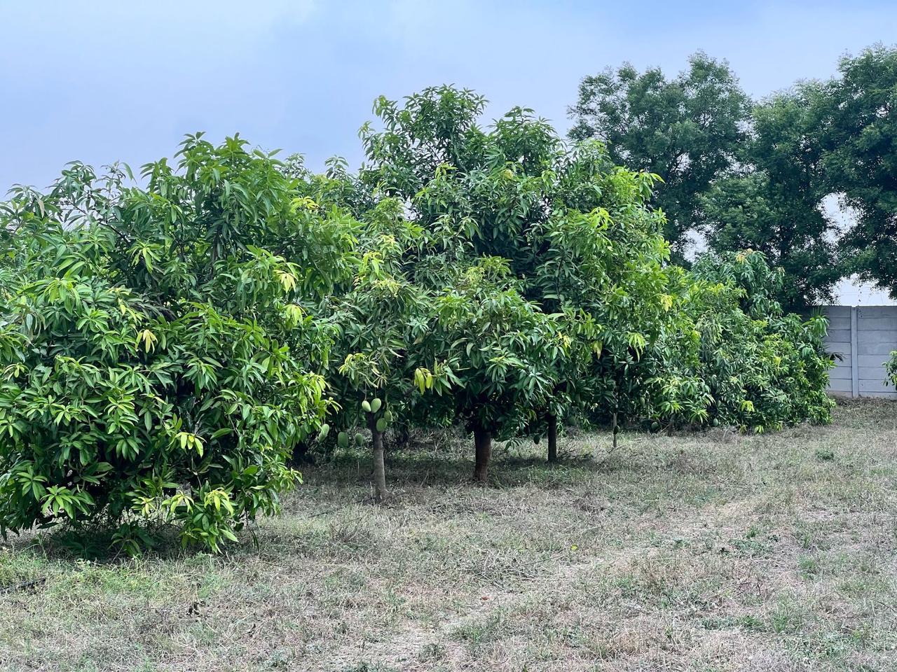 Plot For Sale in Shadnagar Balanagar Form 