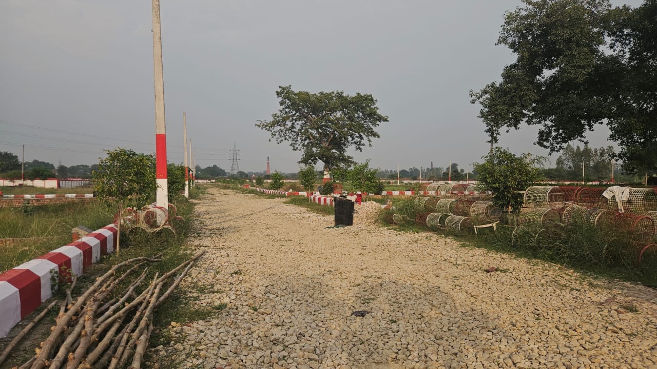 Plot For Sale in Nisha Property 