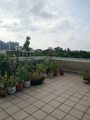 Balcony in 2 BHK Builder Floor at RWA Apartments Sector 47, Sector 47 – for Rent