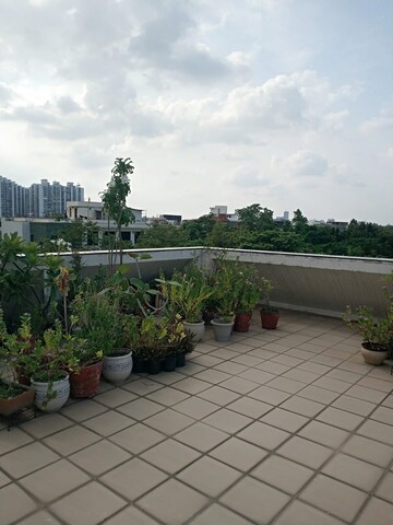 Balcony in 2 BHK Builder Floor at RWA Apartments Sector 47, Sector 47 – for Rent