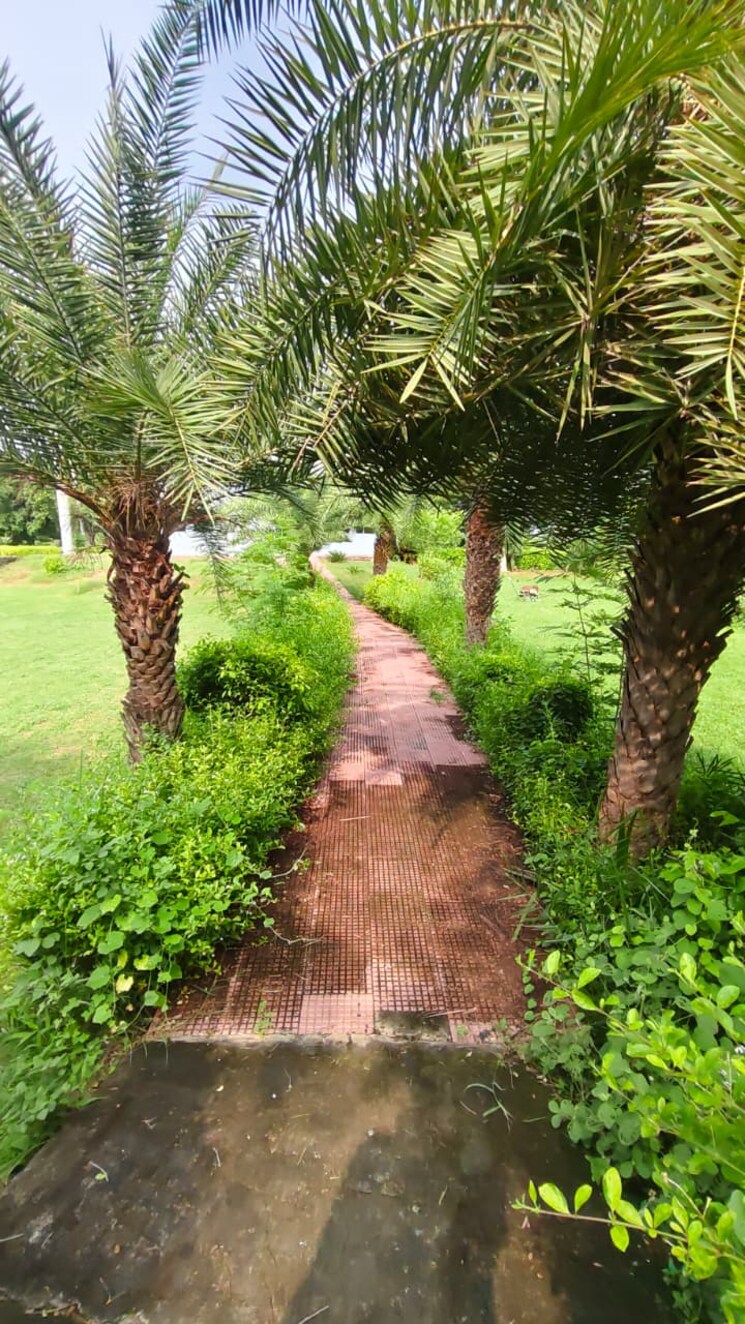 Garden, tappal  92 Sq.Yd. Plot In Tappal Aligarh 9431571