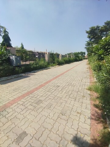 Plot Area in  Plot at Gokulpura – for Sale