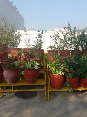  Plot – Exterior View View at Sector 45 - for Sale