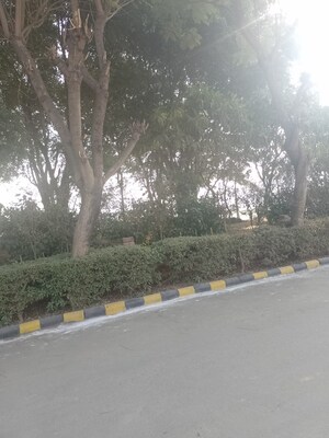  Plot – Exterior View View at Sector 45 - for Sale