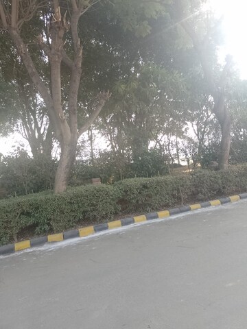  Plot – Exterior View View at Sector 45 - for Sale