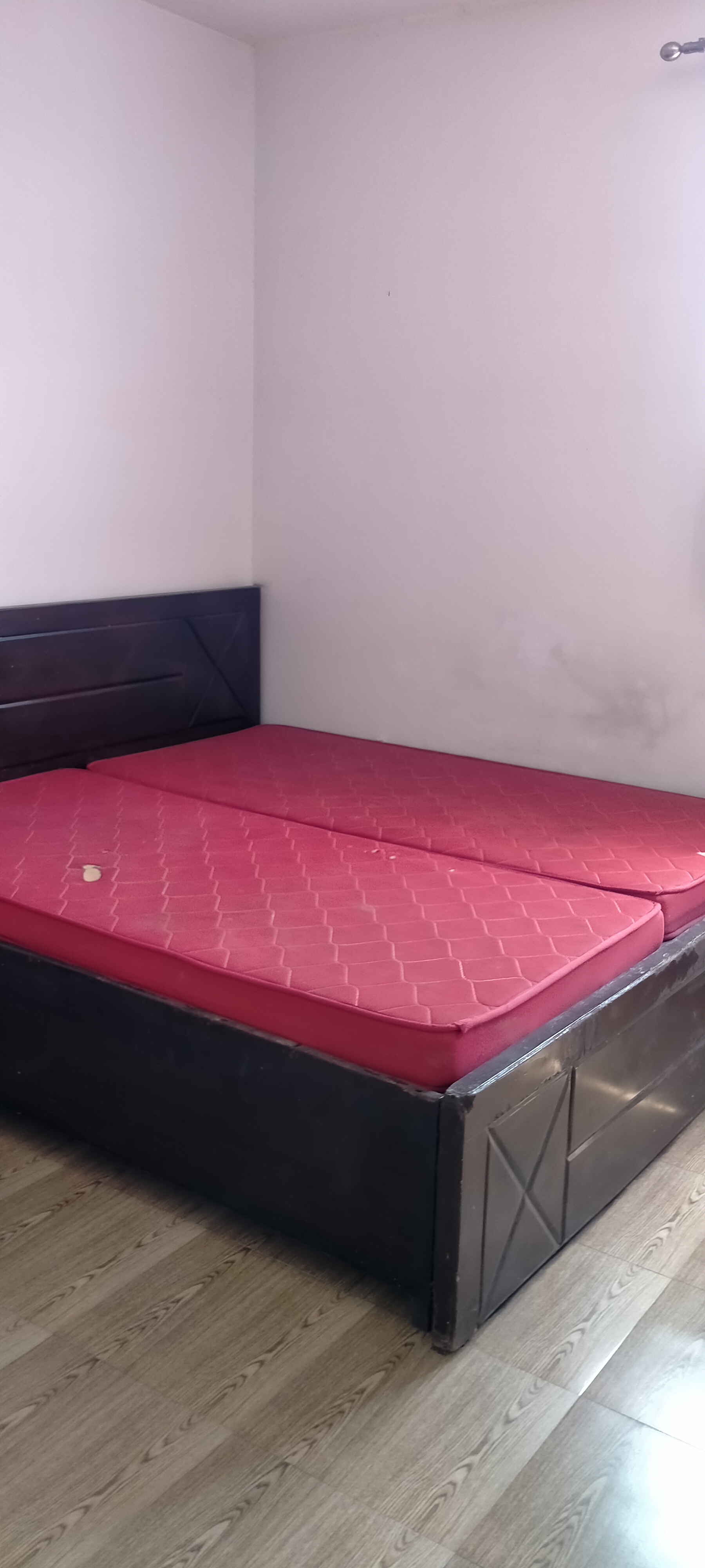 2 BHK Apartment For Rent in Tulip Lemon