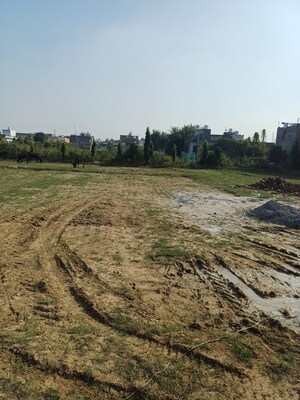 Plot Area in  Plot at Palla – for Sale