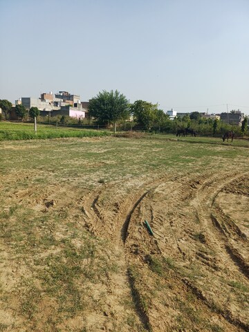 Plot Area in  Plot at Palla – for Sale