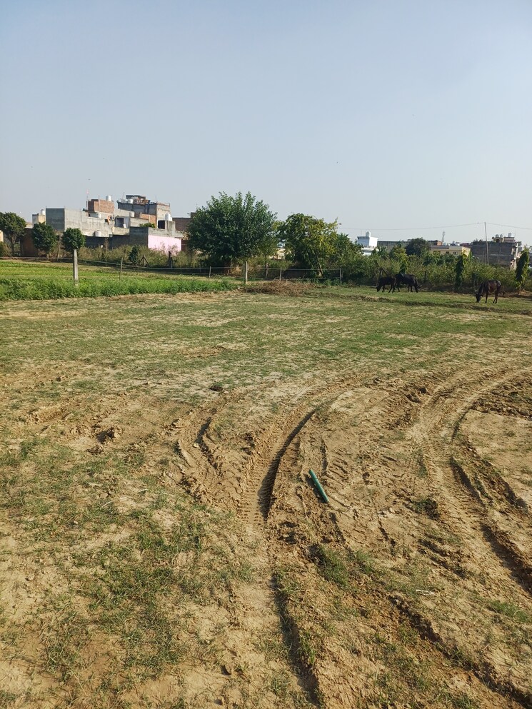 undefined, palla  79 Sq.Yd. Plot In Palla Faridabad 9432192