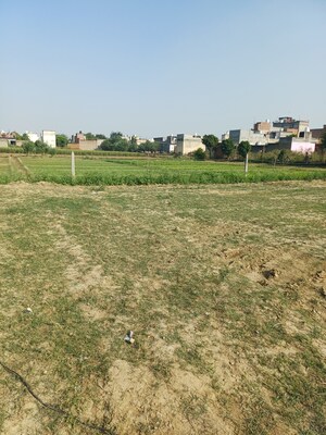  Plot – Exterior View View at Palla - for Sale