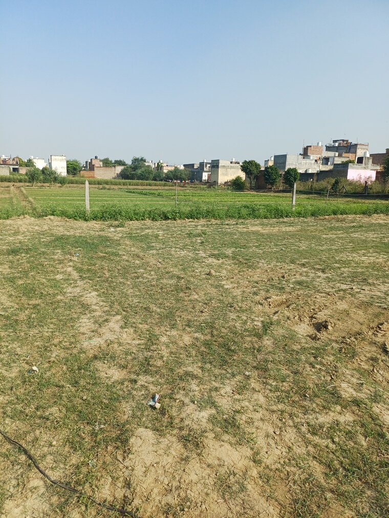 Exterior View, palla  79 Sq.Yd. Plot In Palla Faridabad 9432192