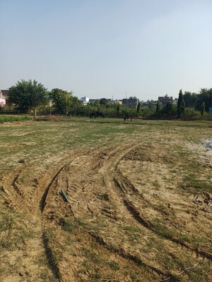 Plot Area in  Plot at Palla – for Sale