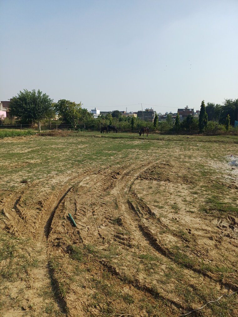 undefined, palla  77 Sq.Yd. Plot In Palla Faridabad 9432222
