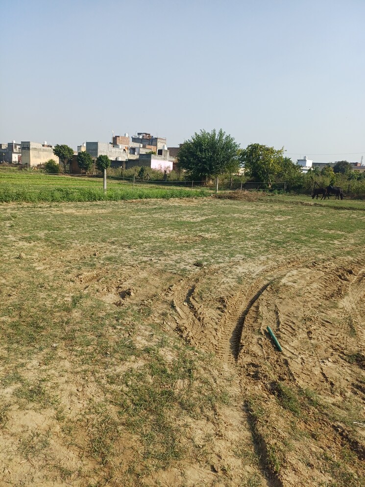 undefined, palla  77 Sq.Yd. Plot In Palla Faridabad 9432222