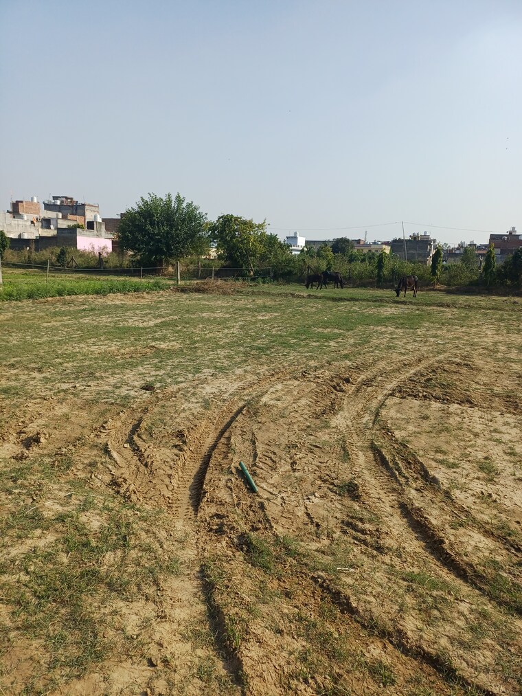 Garden, palla  78 Sq.Yd. Plot In Palla Faridabad 9432280
