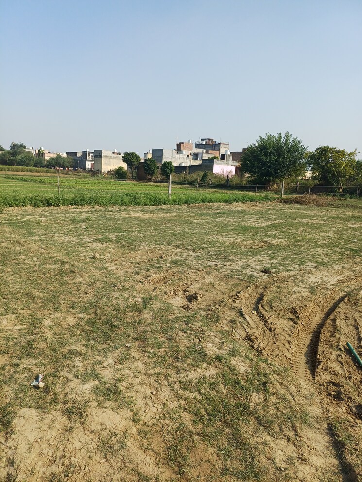Garden, palla  78 Sq.Yd. Plot In Palla Faridabad 9432280